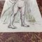 Female Nude, Ink & Colored Pencil Drawing, 1950s, Framed 4