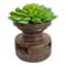 Vintage Seed Sorter with Faux Succulents 1