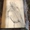 Abstract Figure Study, 1960s, Charcoal on Paper, Framed, Image 2