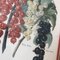 Peaches & Grapes, 1960s, Lithographs, Set of 2, Image 5