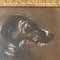 Chien Terrier, Années 1890, Fusain & Pastel sur Papier, Encadré 3