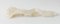 18th Century Chinese Carved White Nephrite Jade Ruyi Scepter with Lingzhi Mushrooms, Image 2