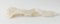 Chinesisches geschnitztes weißes Nephrit Jade Ruyi Zepter mit Lingzhi Pilzen, 18. Jh. 2