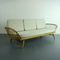 Vintage Model 355 Stufio Couch in Blonde and Gray by Lucian Ercolani for Ercol 5