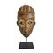 Early 20th Century Lega Mask on Stand, Image 1