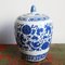 Blue & White Ceramic Ginger Jar 2