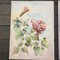 Floral Still Lifes, 1970s, Watercolors on Paper, Set of 2, Image 2