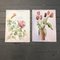 Floral Still Lifes, 1970s, Watercolors on Paper, Set of 2, Image 4