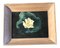 Lily Pad, 1950s, Watercolor on Paper, Framed, Image 1