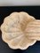 Antike italienische handgeschnitzte Marmor-Schrift in Muschelform 6