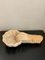 Carattere antico a forma di conchiglia in marmo intagliato a mano, Italia, Immagine 4