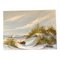 Thomas, Paesaggio marino con dune, anni '60, Dipinto su tela, Immagine 1