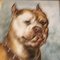 Pit Bull Terrier, años 80, Acuarela sobre papel, Imagen 3