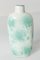 Botella de rapé china de porcelana verde y blanca, Imagen 2