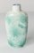 Botella de rapé china de porcelana verde y blanca, Imagen 4