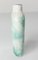 Botella de rapé china de porcelana verde y blanca, Imagen 3