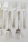 Stieff Rose Sterling Silver Salad Forks, Set of 8 3