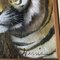 Retrato de tigre, años 70, pintura, enmarcado, Imagen 3