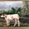Vaca en el paisaje, años 80, Pintura sobre lienzo, Enmarcado, Imagen 2