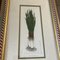 Vegetables, Lithograph Prints, 1980s, Framed, Set of 3 4