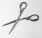 Steel Scissors with 800 Silver Grape Motif Handles 5