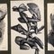 Abstract Compositions, 1983, Charcoal on Paper, Set of 3 4