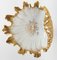 Italian Crustacean Shell Shaped Tazza Dish 7