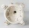 Italian Neoclassical White Ceramic Fern Planter 11