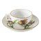 German Meissen Marcolini Period Teacup and Saucer with Tulips, Set of 2 1