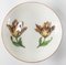 German Meissen Marcolini Period Teacup and Saucer with Tulips, Set of 2 4