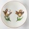 Taza de té y platillo de época Meissen Marcolini alemana con tulipanes. Juego de 2, Imagen 4