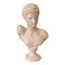Sculpture Buste Masculin d'Hermès Vintage en Plâtre 1