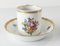 18th Century German Marcolini Meissen Floral Cup and Saucer, Set of 2 13