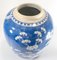 Antikes chinesisches Blau-weißes Ingwerglas 9