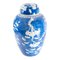 Vaso di zenzero antico cinese blu e bianco, Immagine 1