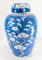 Vaso di zenzero antico cinese blu e bianco, Immagine 3