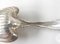 American Sterling Silver Sugar Shifter from George Shreve & Co. 8