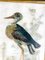 American Artist, Great Blue Heron, 1800s, Oil on Canvas, Image 7