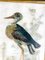Amerikanischer Künstler, Great Blue Heron, 1800er, Öl auf Leinwand 7