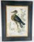 Amerikanischer Künstler, Great Blue Heron, 1800er, Öl auf Leinwand 11