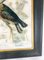 Amerikanischer Künstler, Great Blue Heron, 1800er, Öl auf Leinwand 5