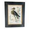 Amerikanischer Künstler, Great Blue Heron, 1800er, Öl auf Leinwand 1