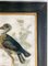 Artista estadounidense, Great Blue Heron, década de 1800, óleo sobre lienzo, Imagen 4