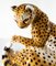 Antike italienische Gepardenfigur aus Keramik von Scully & Scully 6