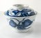 18th Century Chinese Ming Style Blue and White Provincial Bowl 2