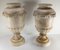 Antique Grand Tour Neoclassical Alabaster Garden Urns, Set of 2 2
