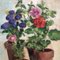 Plantas con flores en macetas, años 70, pintura en lienzo, Imagen 2