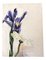 Nature Morte Florale avec Iris, 1990s, Peinture sur Toile 1