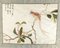 Chinesischer Paradiesvogel mit Seidenstickerei, 20. Jh. 2