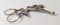 19th Century South German 800 Silver Sugar Tongs with Lion Rampant 7